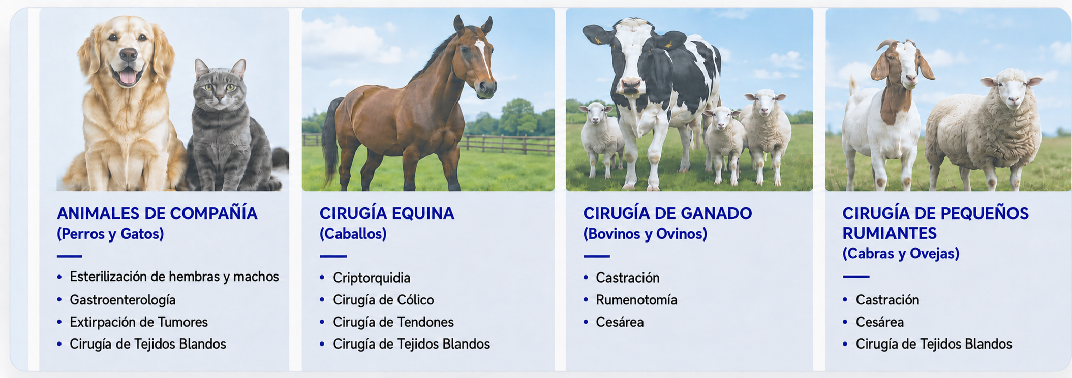 Aplicaciones de sellado vascular YYFmed para animales de compañía, caballos, bovinos, ovejas y cabras